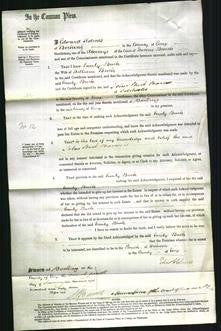 Court of Common Pleas - Emily Buck-Original Ancestry