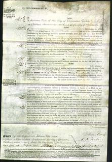 Court of Common Pleas - Mary Ann Haywood, Martha Cowley, Mary Pearson-Original Ancestry