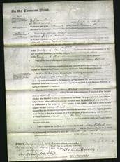 Court of Common Pleas - Mary Roberts-Original Ancestry