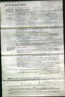 Court of Common Pleas - Sarah Ann Jackson-Original Ancestry