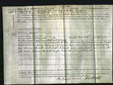 Deed by Married Women - Ann Burrows and Sarah Howard-Original Ancestry