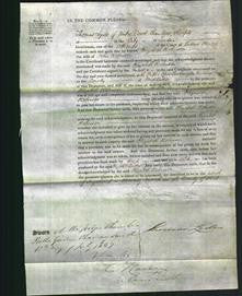 Court of Common Pleas - Elizabeth Robinson-Original Ancestry