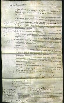 Court of Common Pleas - Emy Twine-Original Ancestry