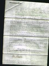 Court of Common Pleas - Sarah Moore-Original Ancestry
