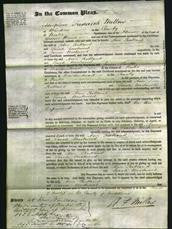 Court of Common Pleas - Ann Rutland and Sarah Westwood-Original Ancestry