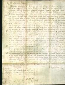 Court of Common Pleas - Mary Ann Wild-Original Ancestry
