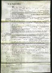 Court of Common Pleas - Isabella Chambers and Jane Blaylock-Original Ancestry