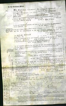 Court of Common Pleas - Anne Mary Duny-Original Ancestry