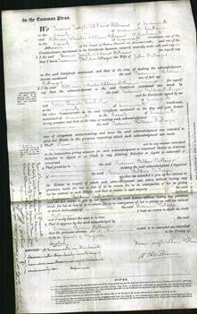 Court of Common Pleas - Susanna Sheldron Ballinger-Original Ancestry