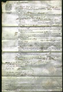 Court of Common Pleas - Mary Shewell-Original Ancestry