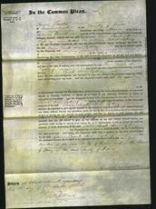 Court of Common Pleas - Dame Sarah Ann Sydney-Original Ancestry