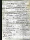 Court of Common Pleas - Joanna Farr-Original Ancestry