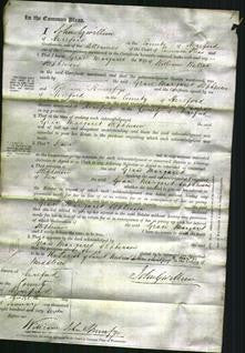 Court of Common Pleas - Grace Margaret Stephenson-Original Ancestry