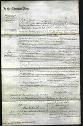 Court of Common Pleas - Dorcas Bolous-Original Ancestry