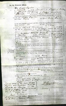 Court of Common Pleas - Mary Bryan-Original Ancestry