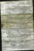 Court of Common Pleas - Eliza Burwell-Original Ancestry