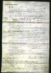 Court of Common Pleas - Caroline Horrath-Original Ancestry