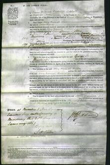 Court of Common Pleas - Mary Hannah Warren-Original Ancestry