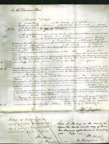 Court of Common Pleas - Ann Wilson-Original Ancestry