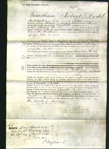 Court of Common Pleas - Charlotte Budd-Original Ancestry