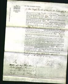 Court of Common Pleas - Eliza Barnard-Original Ancestry