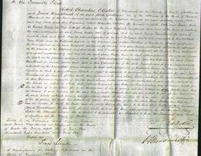 Court of Common Pleas - Mary Sadler-Original Ancestry