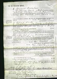 Court of Common Pleas - Ann Elizabeth Jones-Original Ancestry