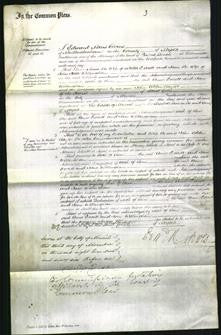 Court of Common Pleas - Anne Everett, Jane Wellingham-Original Ancestry