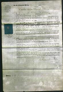 Court of Common Pleas - Sophia Best-Original Ancestry