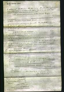 Court of Common Pleas - Sarah Cooper #2-Original Ancestry