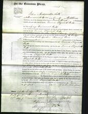 Court of Common Pleas - Emma Elizabeth Potts-Original Ancestry