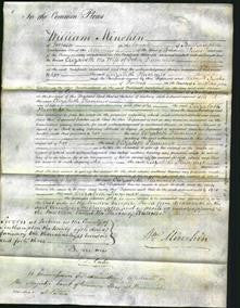 Court of Common Pleas - Elizabeth Plummer-Original Ancestry