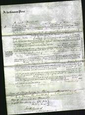 Court of Common Pleas - Harriet Anne Kingston-Original Ancestry