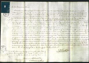Court of Common Pleas - Elizabeth Anne Bell-Original Ancestry