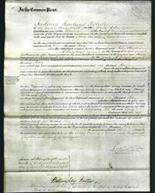 Court of Common Pleas - Mary Evans-Original Ancestry