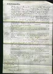 Court of Common Pleas - Ann Taylor-Original Ancestry