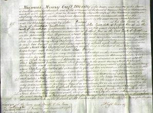Court of Common Pleas - Mary Anne Fitzhugh-Original Ancestry