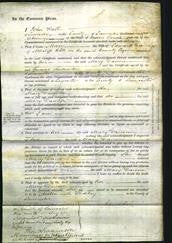 Court of Common Pleas - Mary Dawson-Original Ancestry