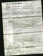 Court of Common Pleas - Elizabeth Holgate-Original Ancestry