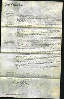 Court of Common Pleas - Jane Sykes-Original Ancestry