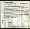 Court of Common Pleas - Ellen Johnson-Original Ancestry