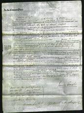 Court of Common Pleas - Sarah Hallett-Original Ancestry