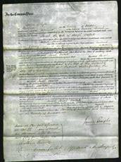 Court of Common Pleas - Sarah Hallett-Original Ancestry