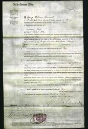 Court of Common Pleas - Eliza Allen-Original Ancestry