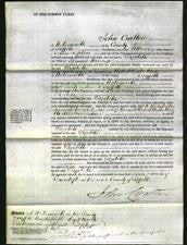 Court of Common Pleas - Elizabeth Haselup-Original Ancestry