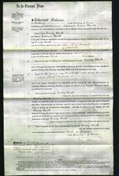 Court of Common Pleas - Emily Buck-Original Ancestry