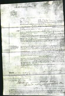 Court of Common Pleas - Sarah Woodham-Original Ancestry
