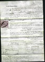 Court of Common Pleas - Eliza Parnell-Original Ancestry