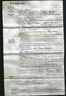 Court of Common Pleas - Eliza Morris Mason-Original Ancestry