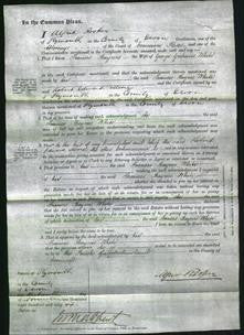 Court of Common Pleas - Frances Baynes White-Original Ancestry